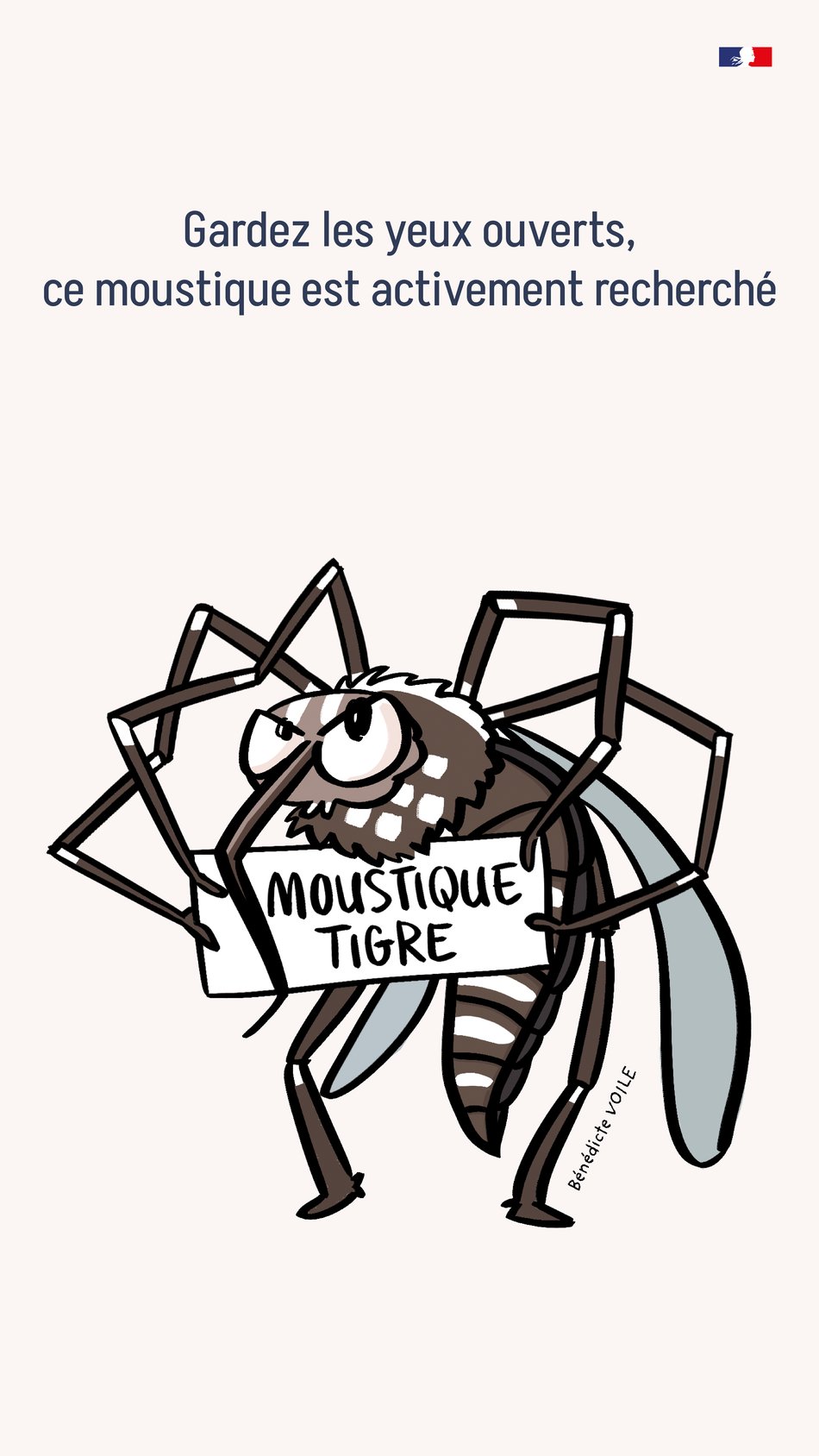 Les dangers du Moustique Tigre ! 🦟 Les dangers du Moustique Tigre ! 🦟