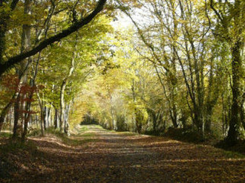entre taude et bellebranche