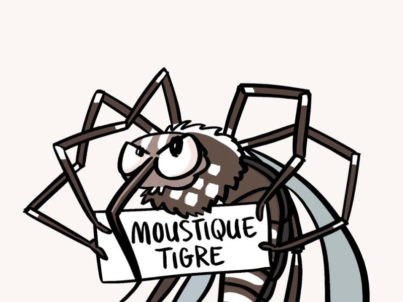 Les dangers du Moustique Tigre ! 🦟