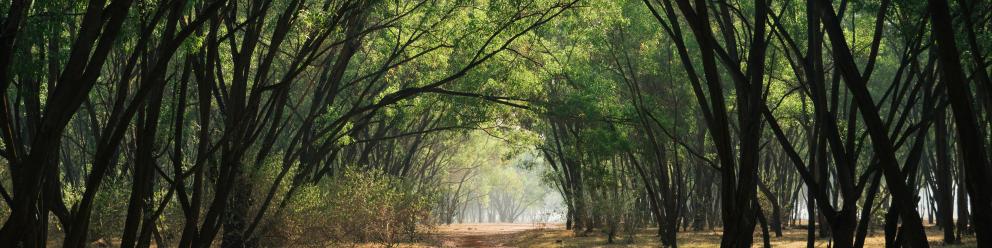 RANDONNEE GOURMANDE 2025